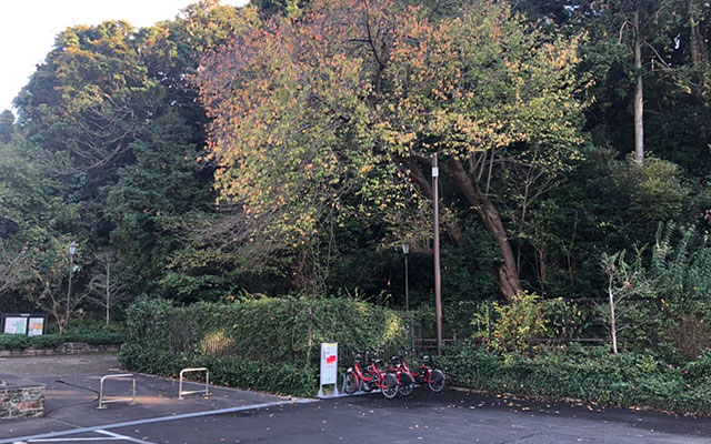 T-013.俣野別邸庭園